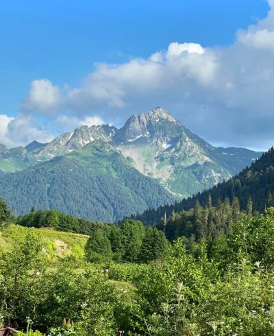 Гудаута Альпийские Луга в июле — фото погоды (2024-07-05)