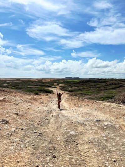 Aruba, Dutch Caribbean в сентябре — фото погоды (2025-09-20)