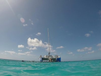 Aruba, Dutch Caribbean в январе — фото погоды (2026-01-24)