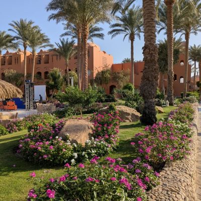 JAZ Makadi Oasis Resort — фото погоды в октябре (2025-10-23)