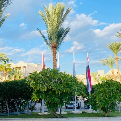 JAZ Makadi Oasis Resort — фото погоды в декабре (2025-12-13)