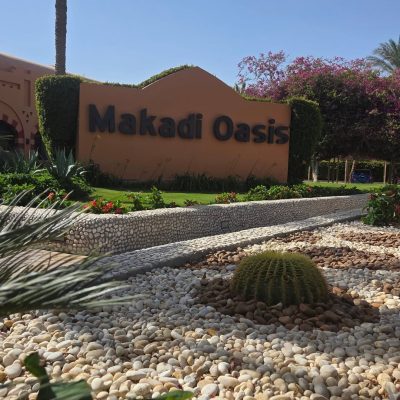 JAZ Makadi Oasis Resort — фото погоды в апреле (2026-04-29)