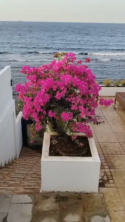 Amed Beach - Bali в июле — фото погоды (2026-07-11)