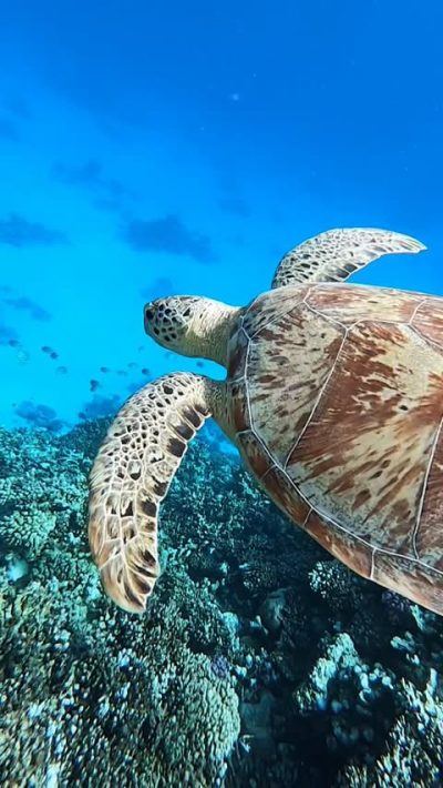 Ägypten - Marsa Alam в ноябре — фото погоды (2025-11-23)
