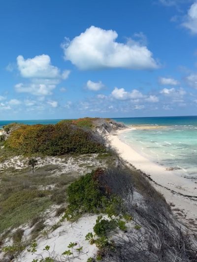 Playa Paraíso - Cayo Coco Beach Resort — фото погоды в феврале (2026-02-14)