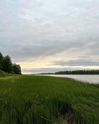 Paanajärvi в июле — фото погоды (2022-07-31)