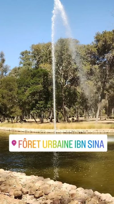 Fôret Urbaine Ibn Sina в июле — фото погоды (2025-07-19)