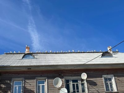 Соловецкий (Архангельская область) в августе — фото погоды (2022-08-14)