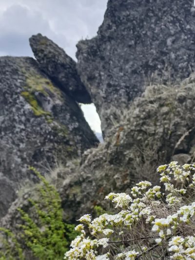 Башкортостан в мае — фото погоды (2026-05-24)