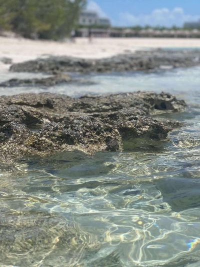 Cayo Las Brujas в августе — фото погоды (2025-08-04)