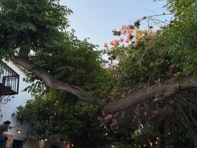 Ciprus Ayia Napa в июне — фото погоды (2026-06-05)