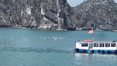 Đảo Cát Bà - Thiên Đường Biển Đảo в марте — фото погоды (2026-03-28)