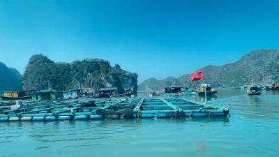 Đảo Cát Bà - Thiên Đường Biển Đảo в марте — фото погоды (2026-03-28)