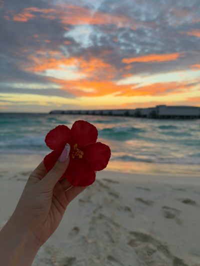 Amilla Maldives в июне — фото погоды (2026-06-09)