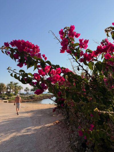Fig Tree Bay - Protaras, Cyprus в июле — фото погоды (2026-07-12)