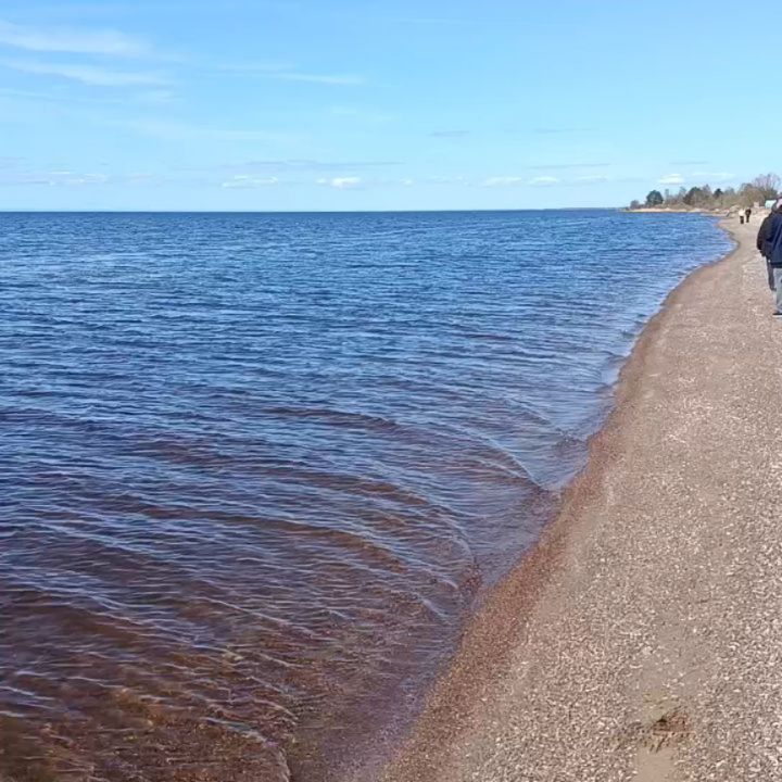 Погода в Псковская область