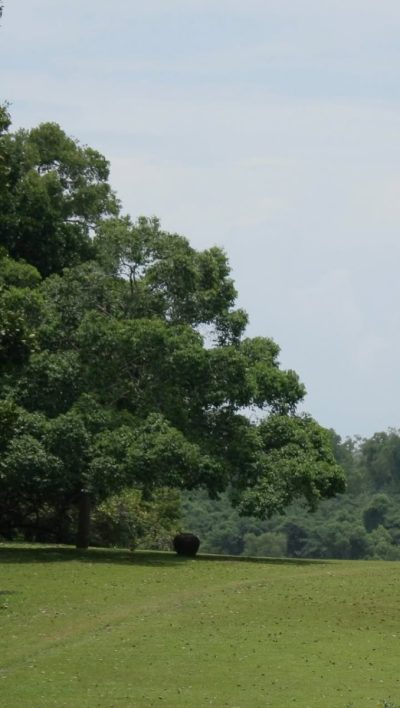Lunuganga Geoffrey Bawa Country Estate в сентябре — фото погоды (2025-09-29)