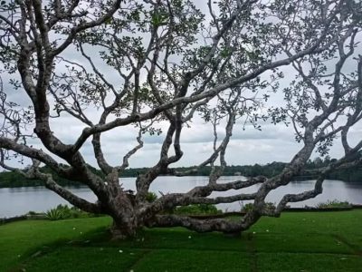Lunuganga Geoffrey Bawa Country Estate в октябре — фото погоды (2025-10-01)