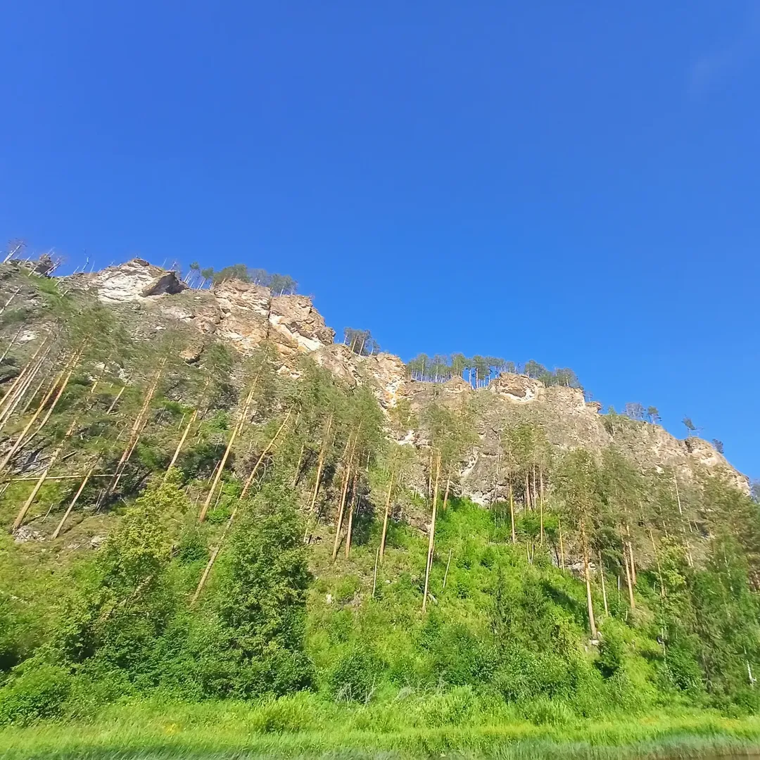 Погода в Кын село