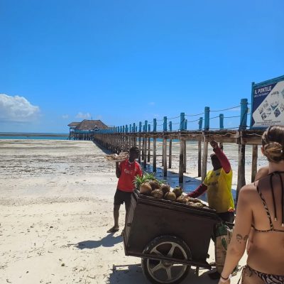 Villaggio Bravo Kiwengwa - Zanzibar — фото погоды в ноябре (2025-11-14)