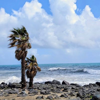 Faro De Maspalomas, Gran Canaria — фото погоды в марте (2026-03-26)