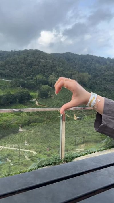 Brinchang, cameron highlands в июне — фото погоды (2026-06-04)