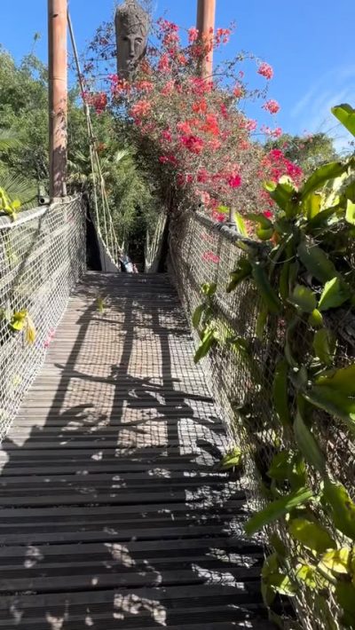Jungle Park Tenerife в октябре — фото погоды (2025-10-28)