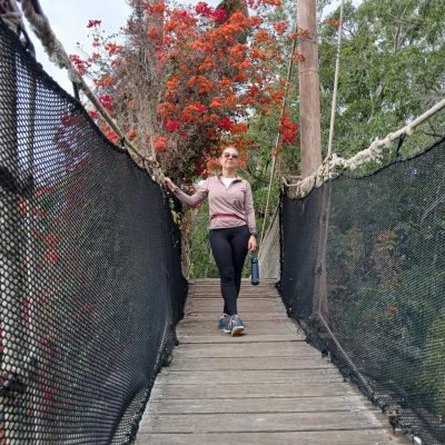 Jungle Park Tenerife в декабре — фото погоды (2025-12-13)