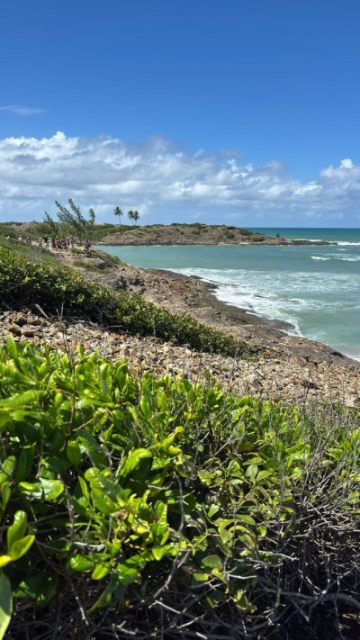 Ilha De Sto. Aleixo / Sirinhaém-Pe. в июне — фото погоды (2026-06-12)