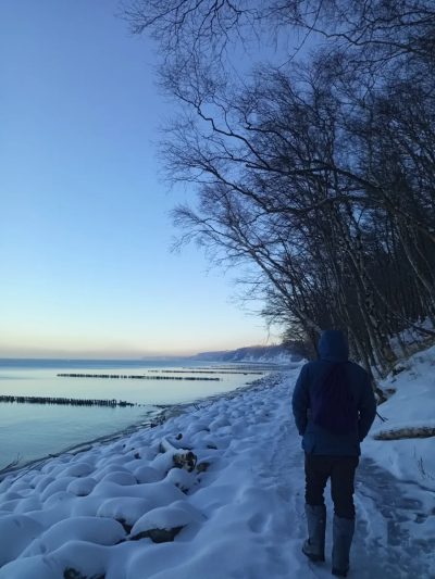 Светлогорск в январе — фото погоды (2026-01-20)