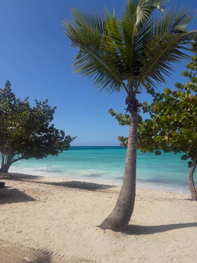 Republica Dominicana в апреле — фото погоды (2026-04-29)