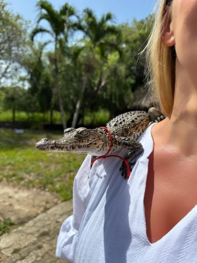Criadero De Cocodrilos, Guama'- Cuba в июне — фото погоды (2025-06-17)