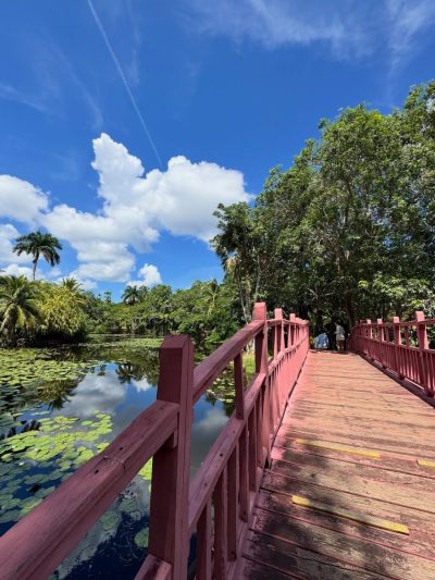 Criadero De Cocodrilos, Guama'- Cuba в октябре — фото погоды (2025-10-12)