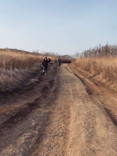 Мыс Тобизина в апреле — фото погоды (2026-04-01)