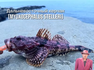 Мыс Тобизина в мае — фото погоды (2026-05-19)