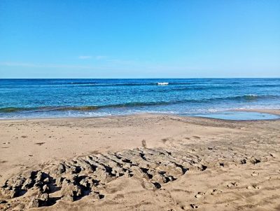 Playa Negra, Costa Rica в декабре — фото погоды (2025-12-29)