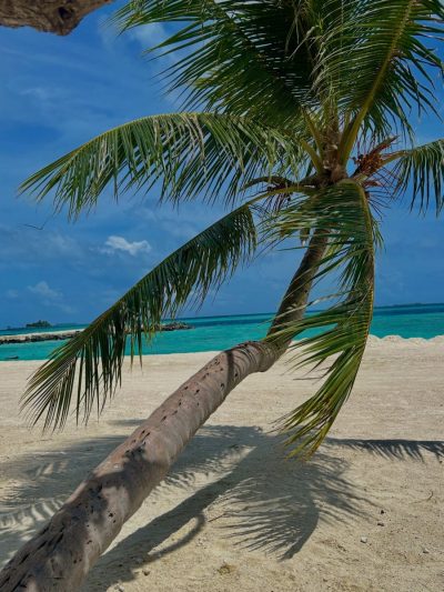 Gulhi, Maldives в июне — фото погоды (2026-06-14)