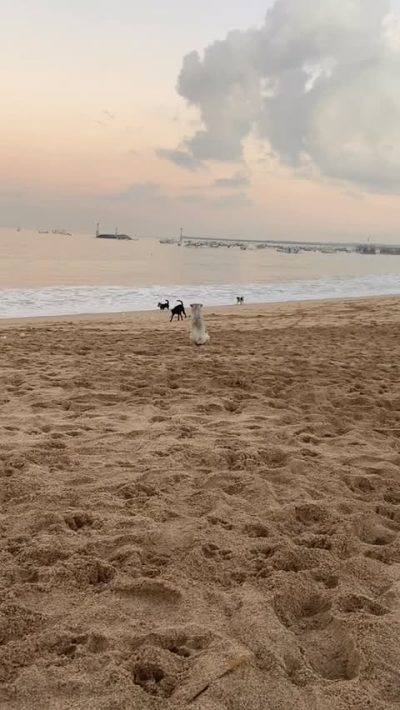 Jimbaran Beach Bali в июне — фото погоды (2026-06-30)