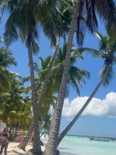 Isla Saona, Caribe в мае — фото погоды (2026-05-05)