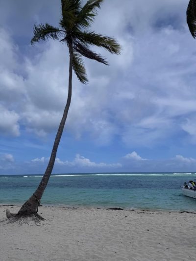 Isla Saona, Caribe в мае — фото погоды (2026-05-24)