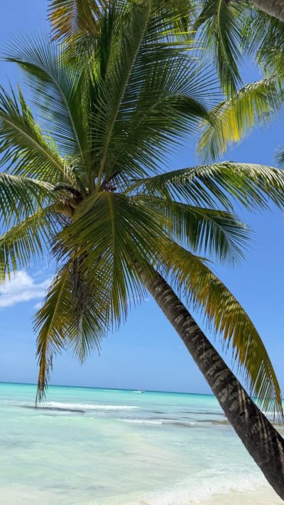 Isla Saona, Caribe в июле — фото погоды (2026-07-02)