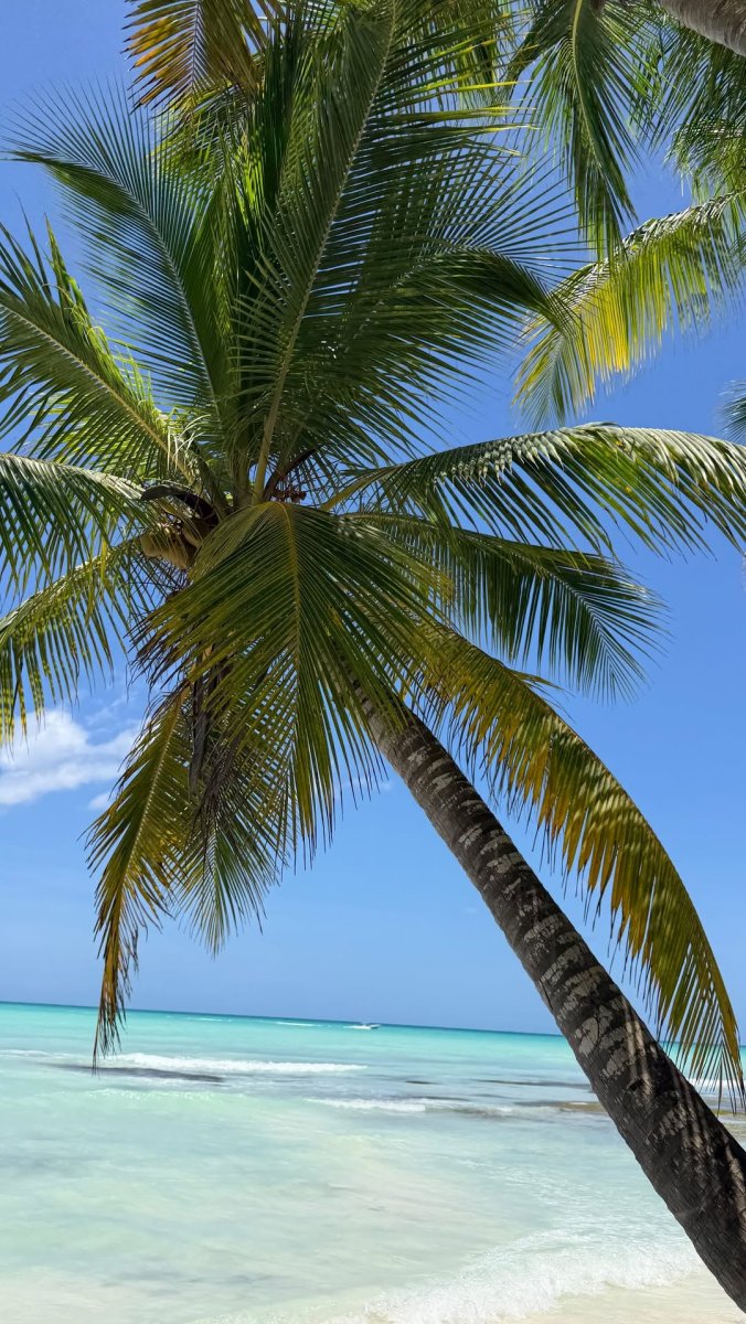Погода в Isla Saona, Caribe