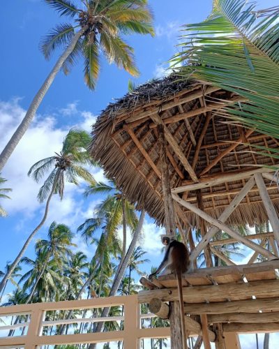 Reef & Beach Resort Zanzibar — фото погоды в июне (2026-06-04)