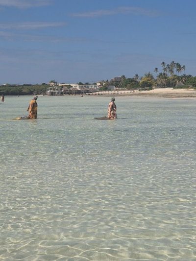 Reef & Beach Resort Zanzibar — фото погоды в июне (2026-06-27)