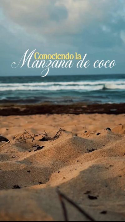 Punta Cana, Bávaro - Dominican Republic в июле — фото погоды (2026-07-12)