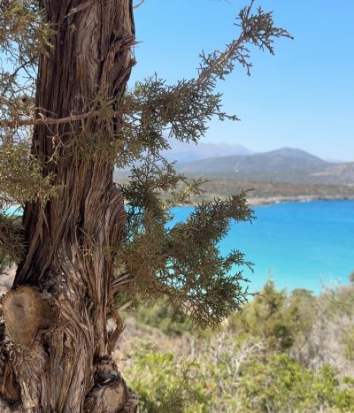 Kreta, Malia в сентябре — фото погоды (2025-09-26)