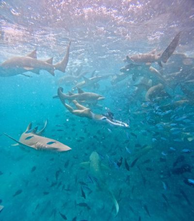 Sandbank Maldives в сентябре — фото погоды (2025-09-12)