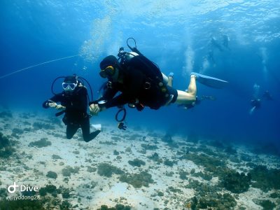 Ocean Holic Divers в ноябре — фото погоды (2024-11-11)