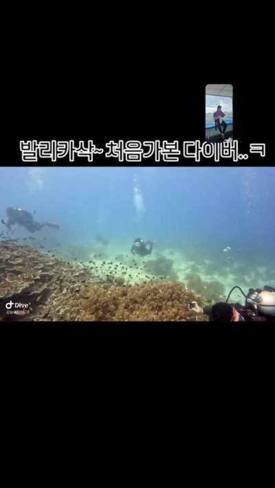 Ocean Holic Divers в январе — фото погоды (2025-01-22)