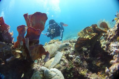 Ocean Holic Divers в апреле — фото погоды (2025-04-28)